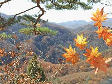 烏托邦公務(wù)員報(bào)考條件及其相關(guān)解析